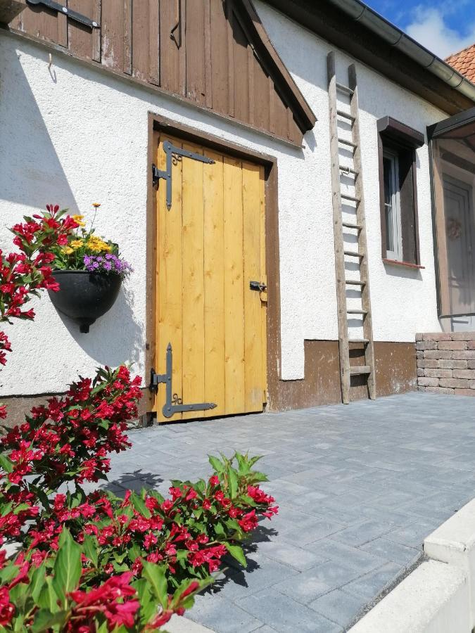 Harzhaus Ida Villa Elbingerode  Kültér fotó